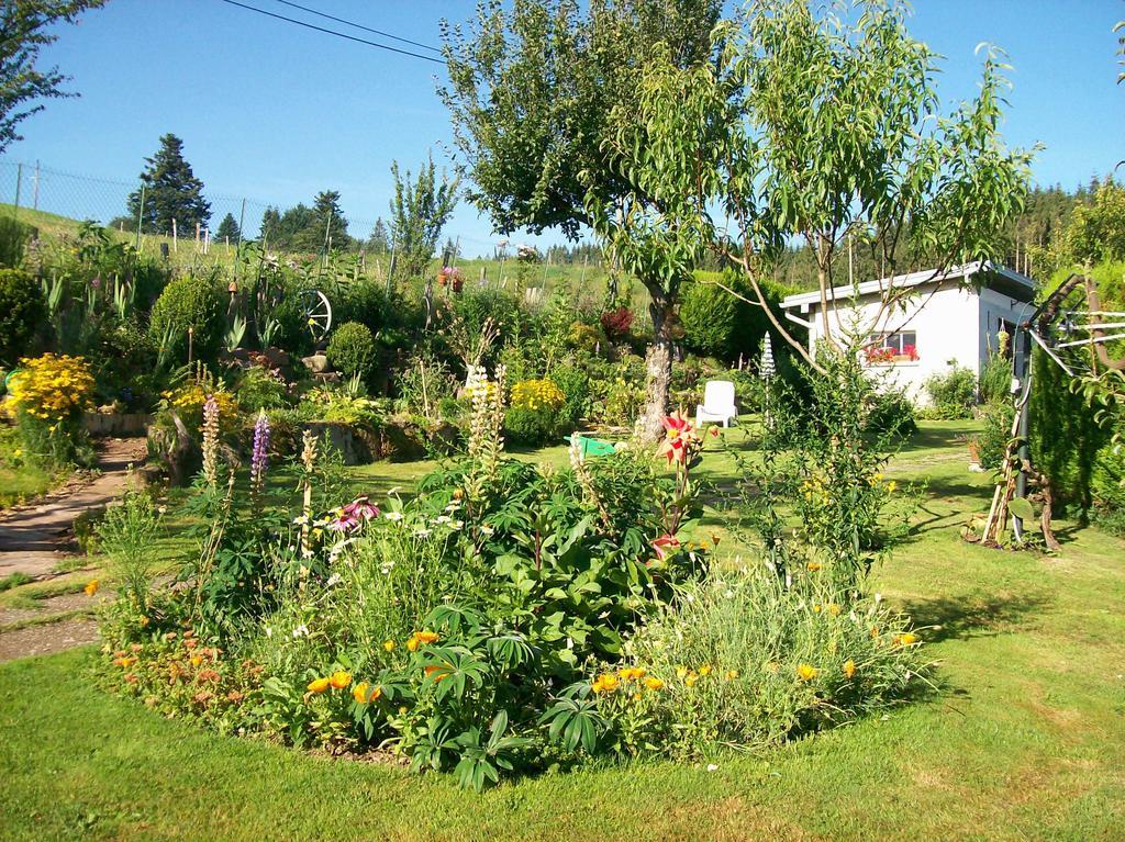 Chambres d'Hôtes L'Envol Vecoux Extérieur photo