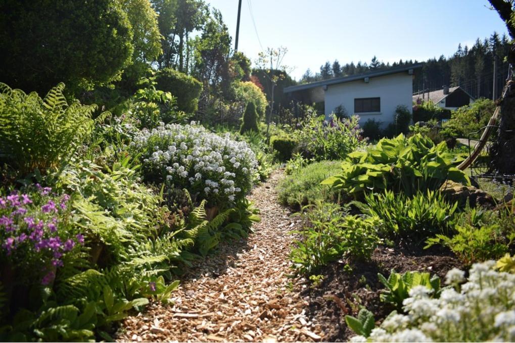 Chambres d'Hôtes L'Envol Vecoux Extérieur photo